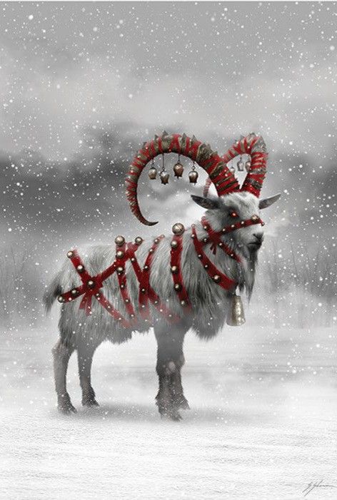 **The Yule Goat** *is a Scandinavian …