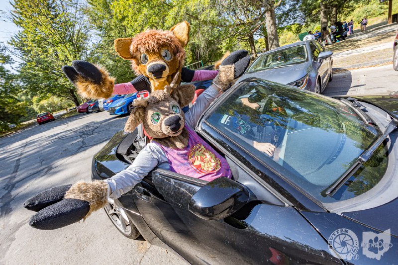 Cruising into [#FursuitFriday](?q=%23FursuitFriday) with Dawn and …