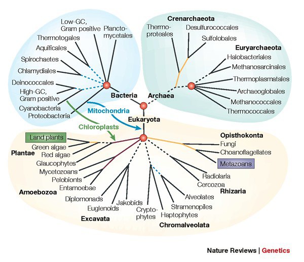 1\_#Phylogenetic Classification and the Universal Tree