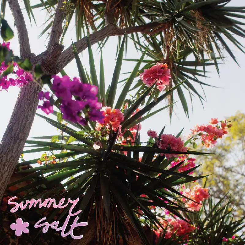 Американский инди-поп-группа [#SummerSalt](?q=%23SummerSalt) 19 мая выпустил свою новую пластинку [Campanita](https://music.yandex.ru/album/24736928).