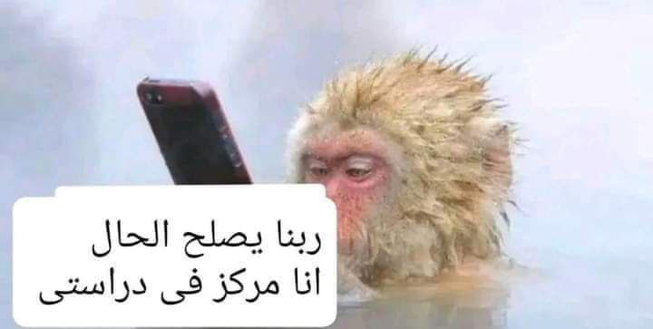 عمال أصيح إن الرحلة فردية
