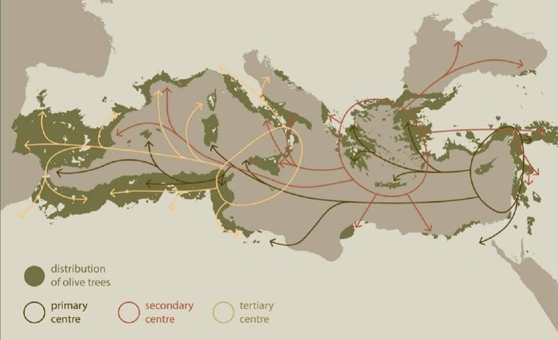 [#mappe](?q=%23mappe) Distribuzione dell' ulivo nell'area mediterranea, …