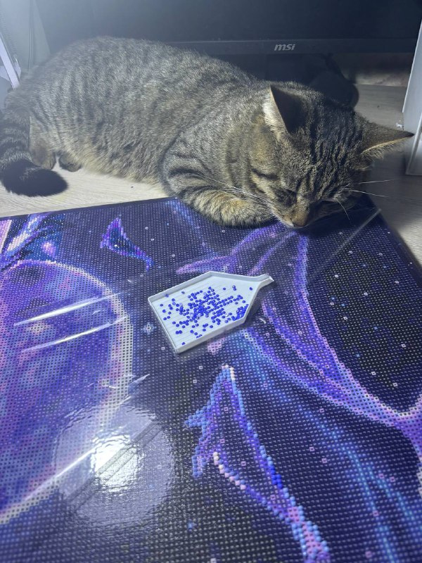 Софушка!!😻