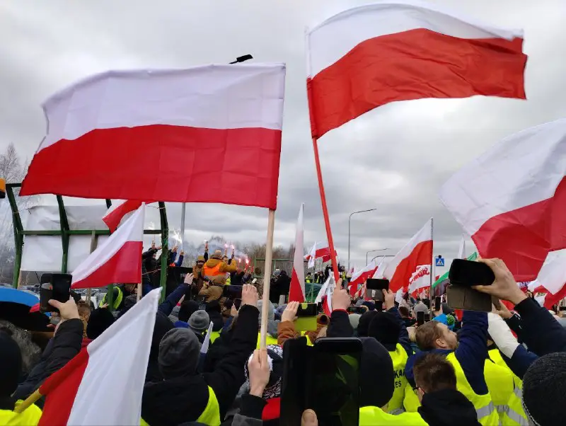 White Bears Chełm - Autonomiczni Nacjonaliści