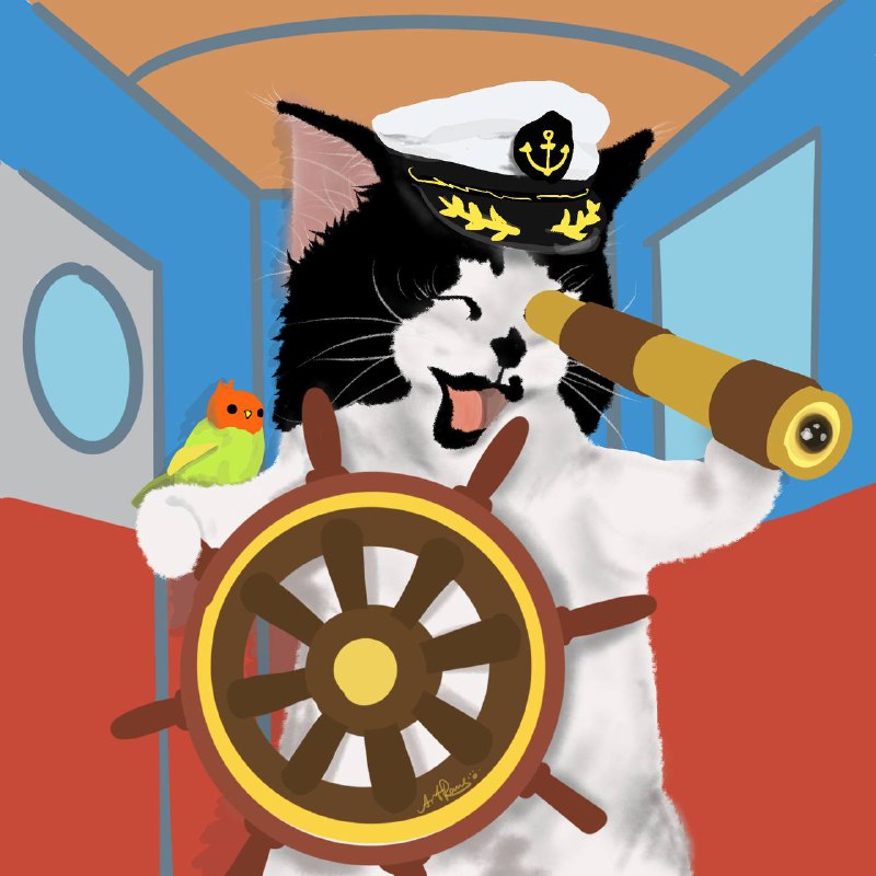 Aye~aye~ Captain ***?‍✈️*** ***?******?******?***