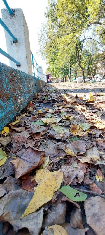 و دست‌های او