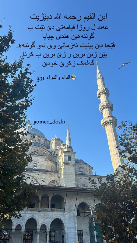 رێكا ئيسلامێ