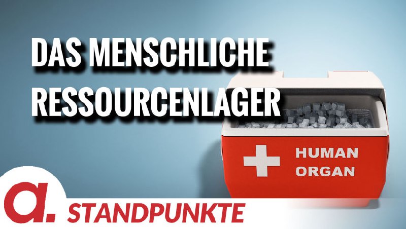 **Das menschliche Ressourcenlager | Von Felix …