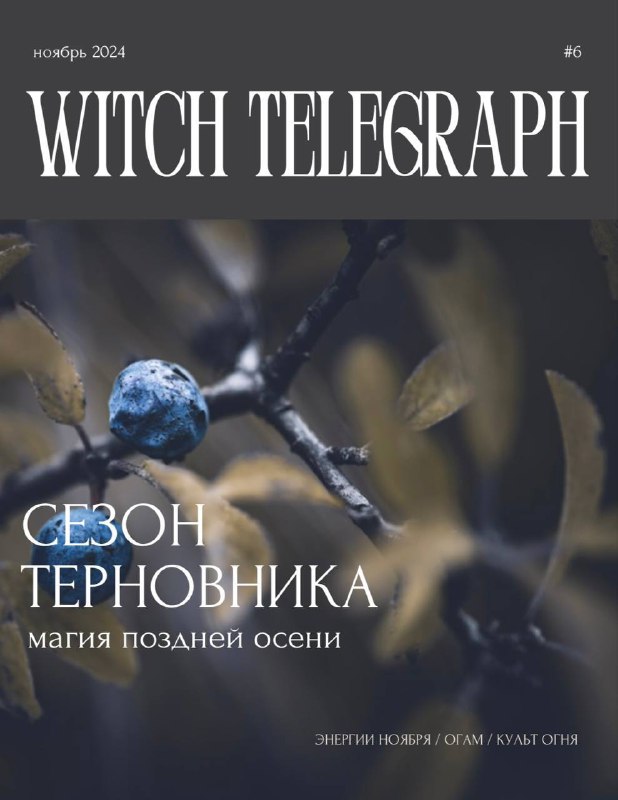 ***📇*** Ноябрьский номер Witch Telegraph — …