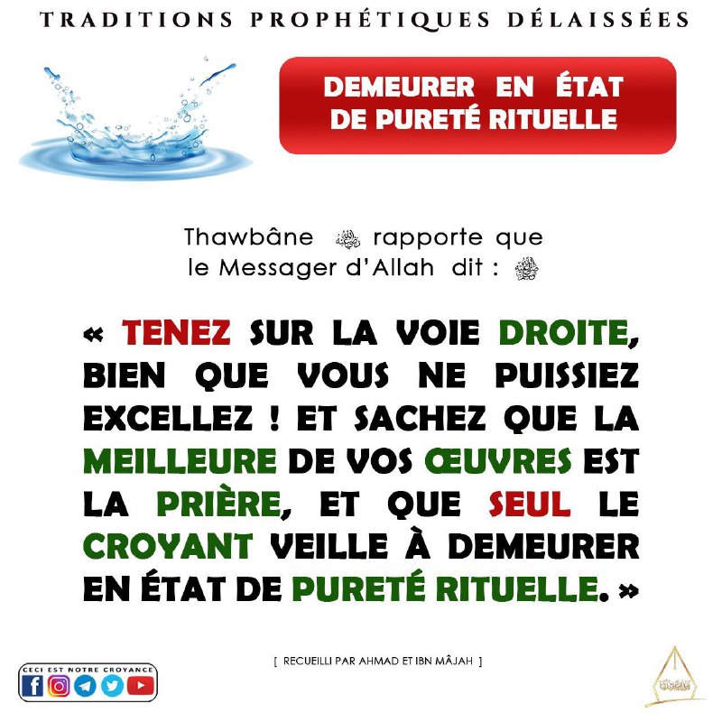 Apprendre sa religion d’une maniere simplifiée.