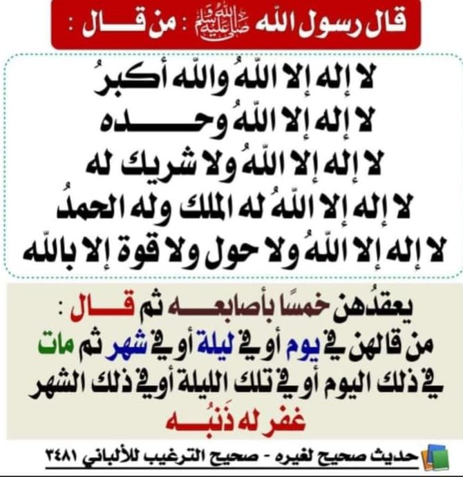 من كل بستان زهرة ✿