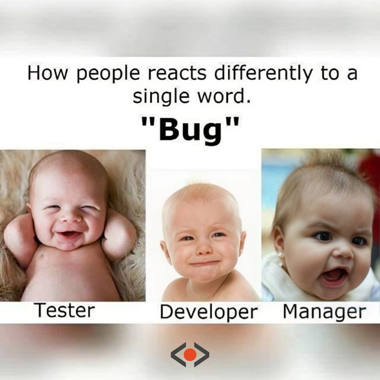 [#fun](?q=%23fun)