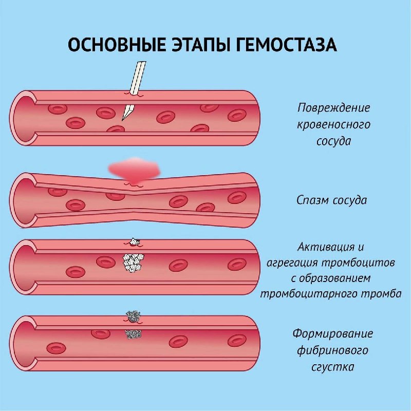 ***?*** Когда кровь течет не по …