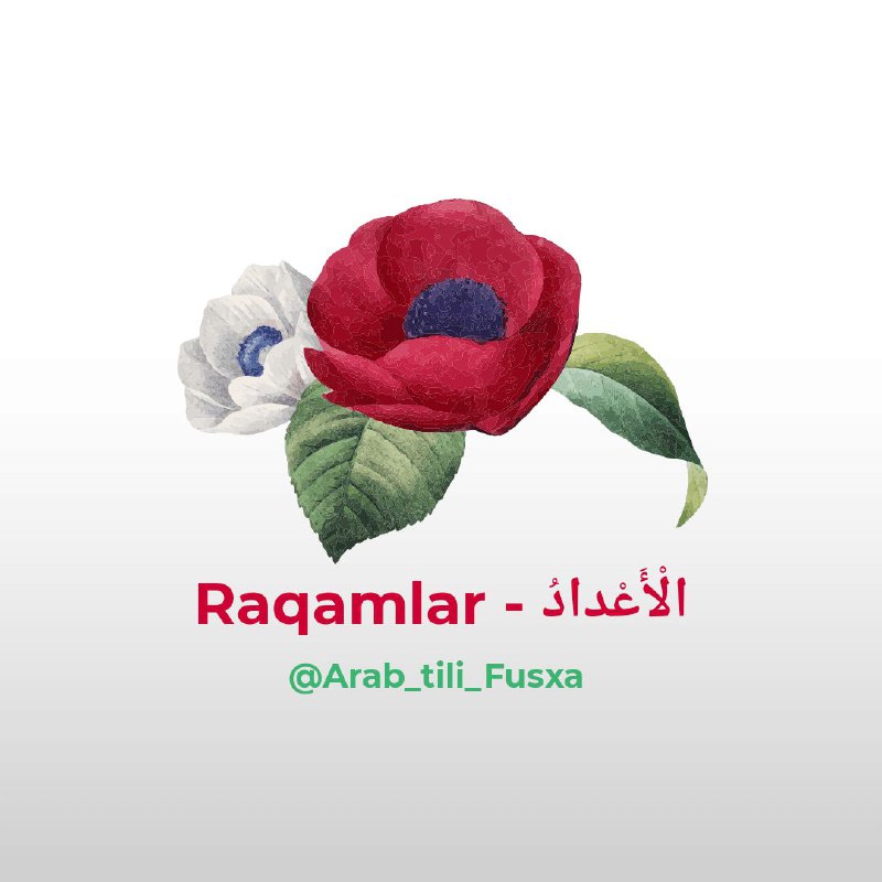 **الْأَعْدَادُ - Raqamlar** ***🔢***