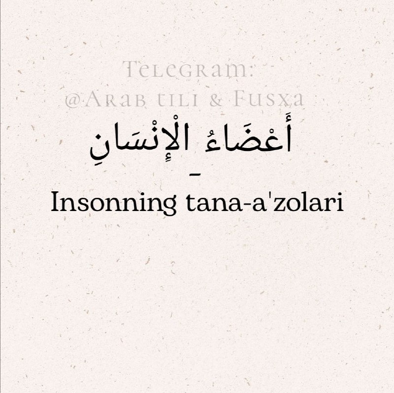 **أَعْضَاءُ الْإِنْسَانِ - Insonning tana-a'zolari**