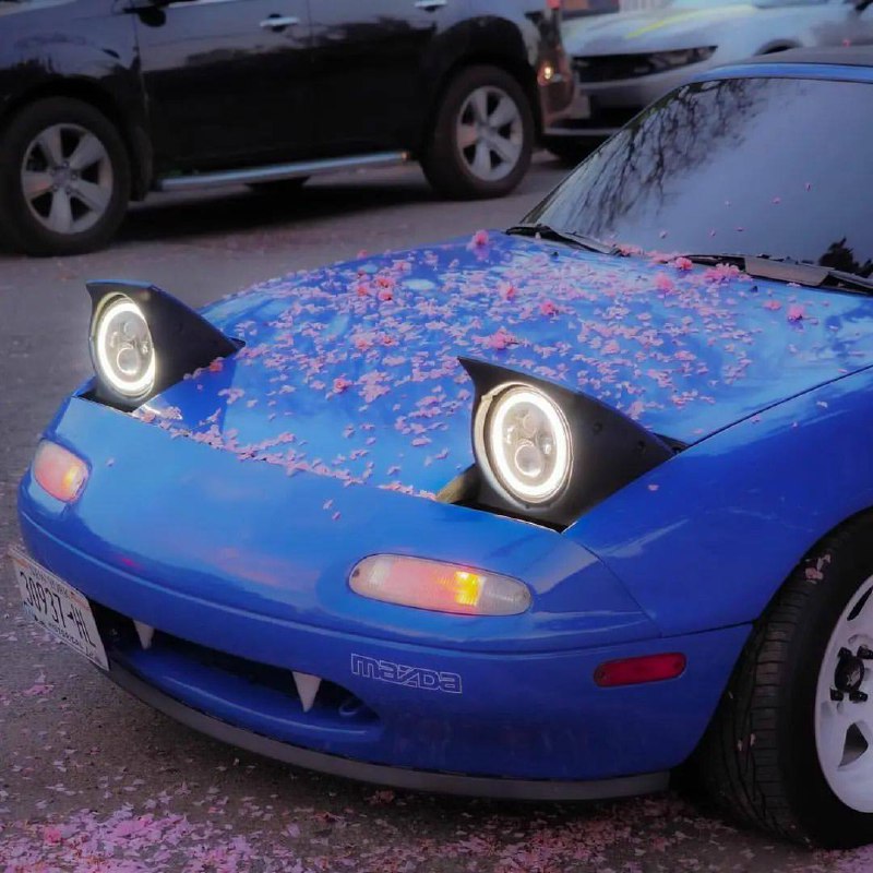 [#mazda](?q=%23mazda) [#miata](?q=%23miata)