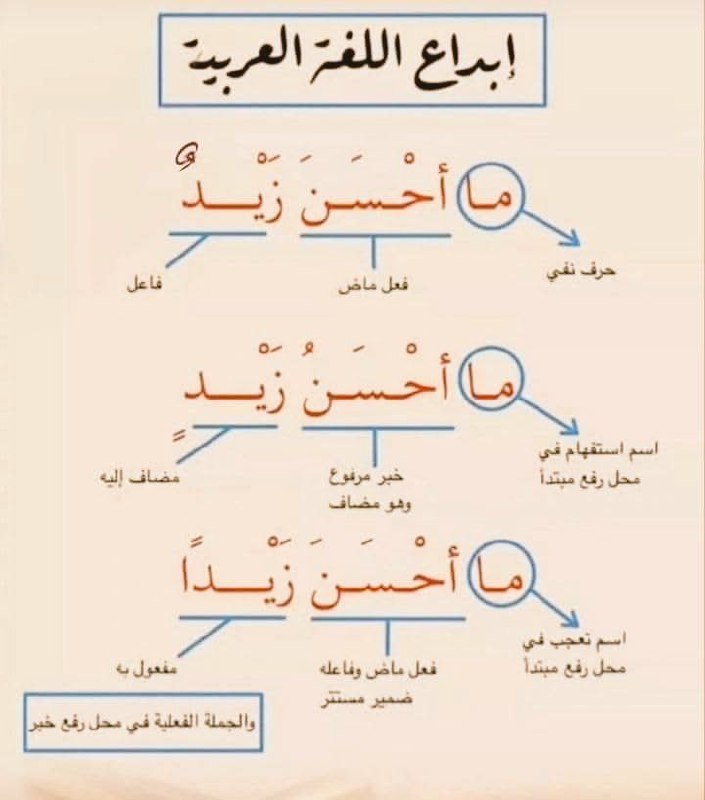 عالم اللغة العربية