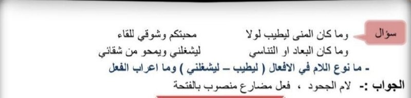 المساعد في القواعد📝