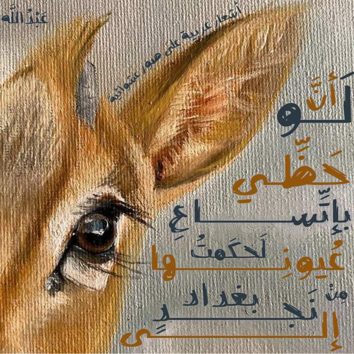 لو أنَّ حَظِّيَ باتِّساع عُيونِها، لَحكمتُ …