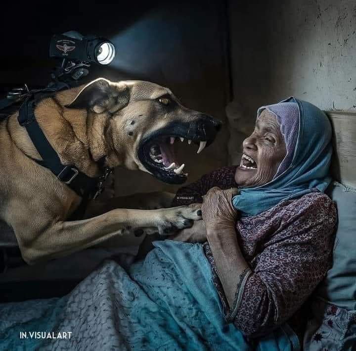 اللهم أرنا في اليهود الظالمين المجرمين …
