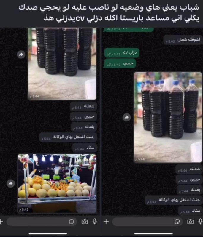Arab Shit Fresh Fish