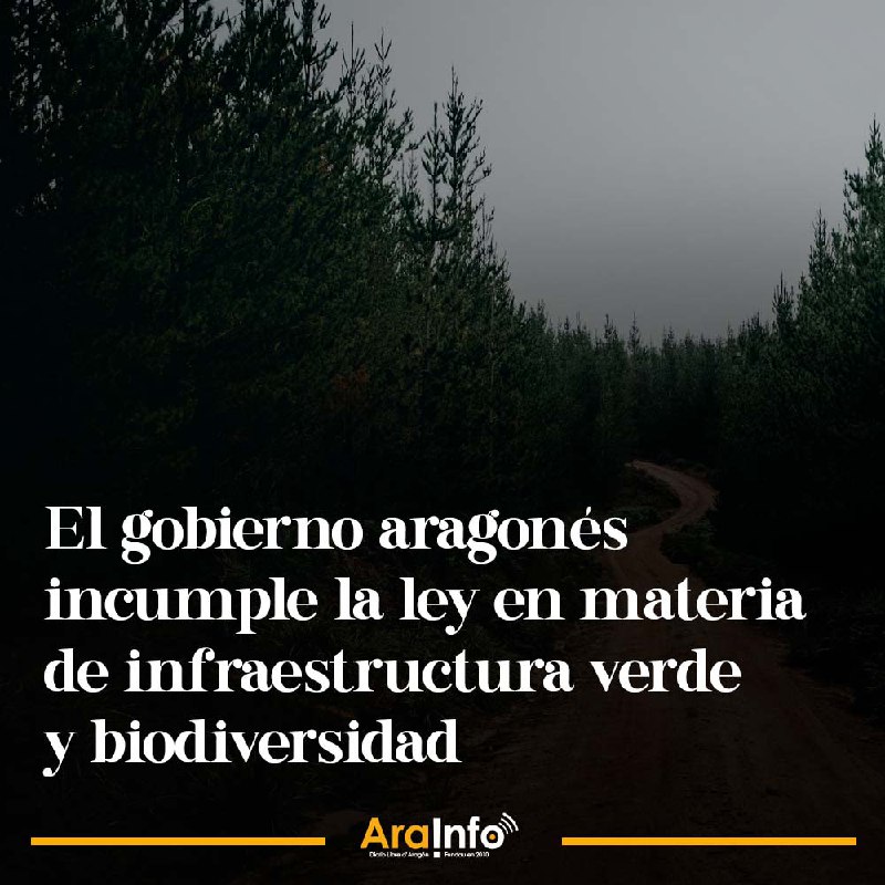 **El gobierno aragonés incumple la ley …