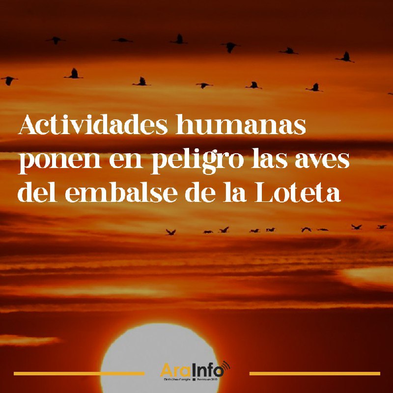 **Actividades humanas ponen en peligro las …