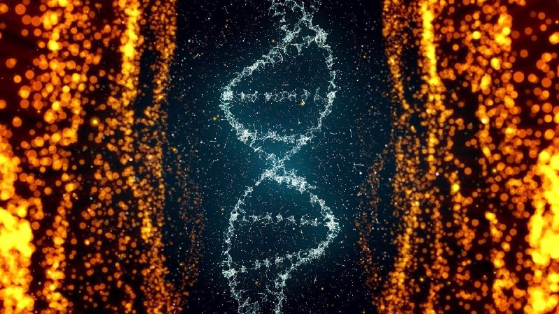 ***🧬*** **DNA-Aktivierung: Entfalte Dein wahres Potenzial**