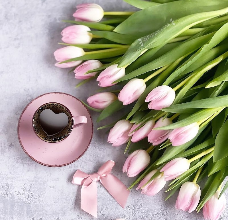 **امروزجاودانه است***🌸******🍃***