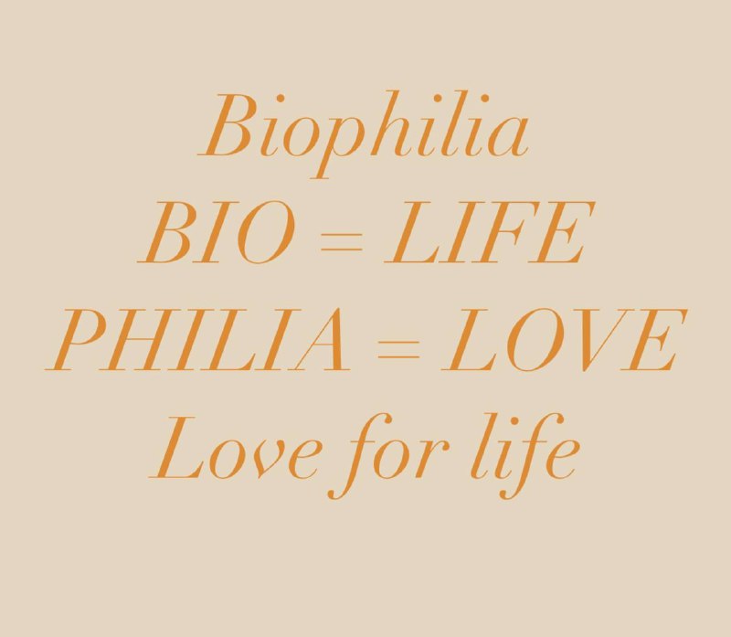 ***💚***Biophilia