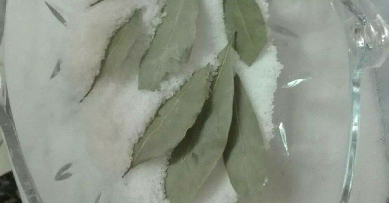 پاکسازی با برگ بو ***?******?******?***