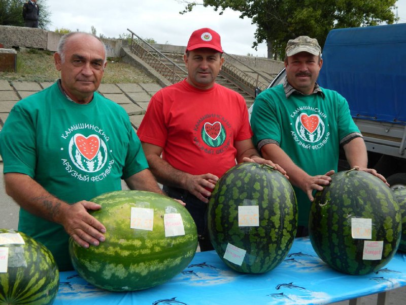 Камышинский Арбузный Фестиваль🍉