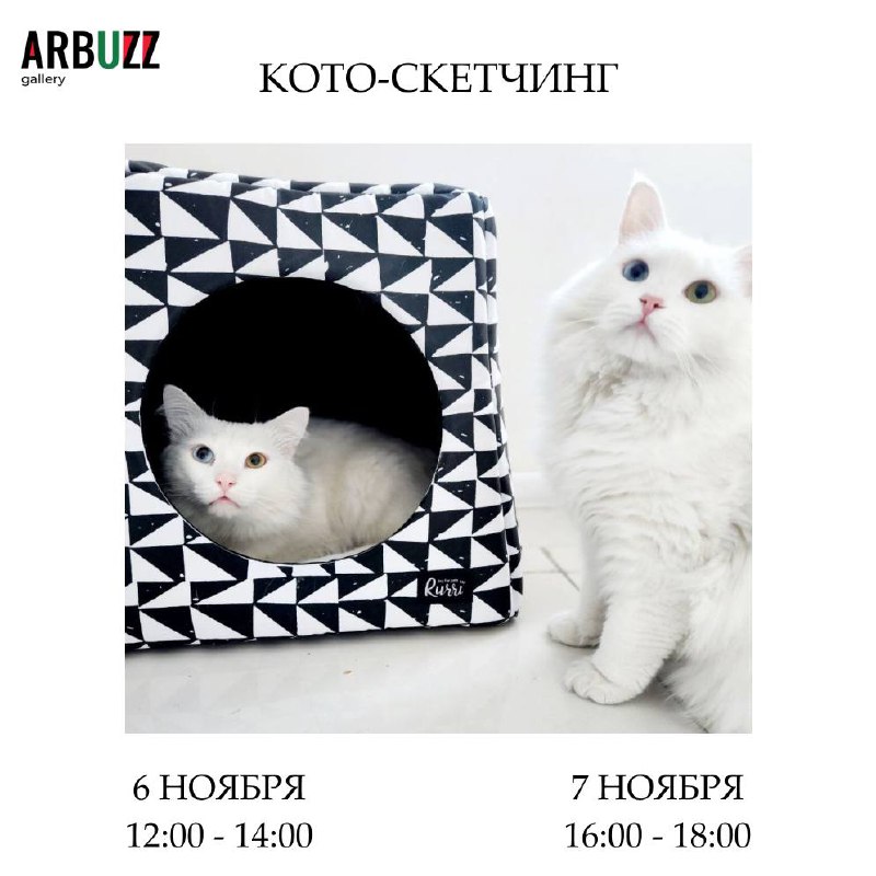 ***🐱***Кото-скетчинг в ARBUZZ