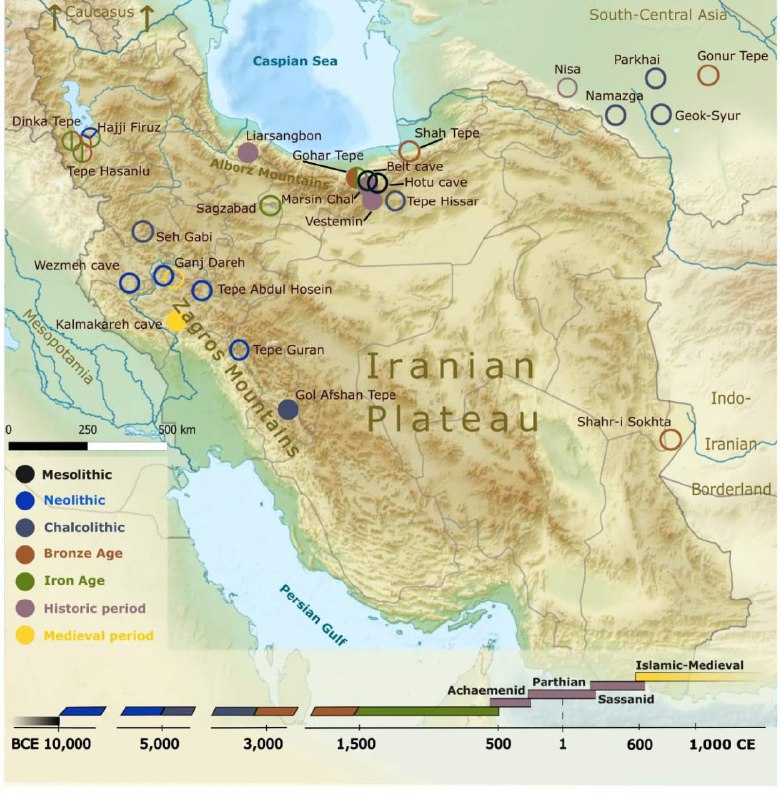 **New preprint titled '**[**Ancient DNA indicates …