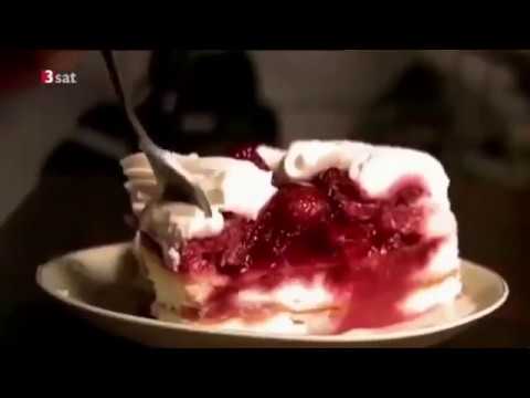 Heilpflanzenwissen Archiv