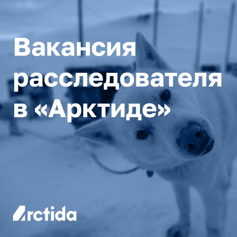 **Вакансия в «Арктиде»**