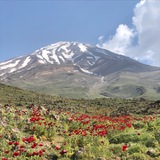 برنامه گزارش‌خوانی برگزاری اردوها و صعود …