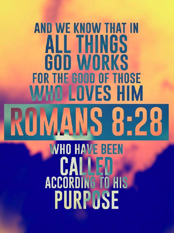 ROMANS 8:28***🕊️***