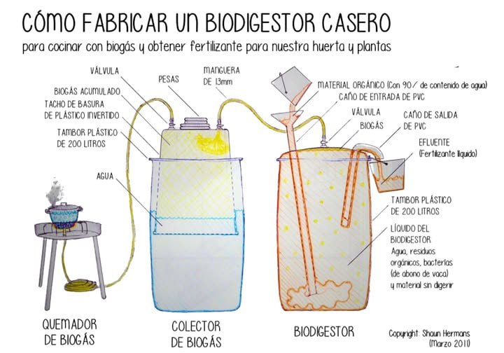 La produzione di rifiuti organici nella …