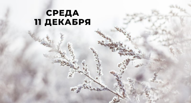 ***☀️*** 11 декабря (среда)***☀️***