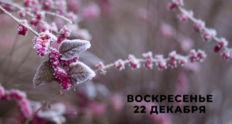 ***☀️***22 декабря (воскресенье)***☀️***