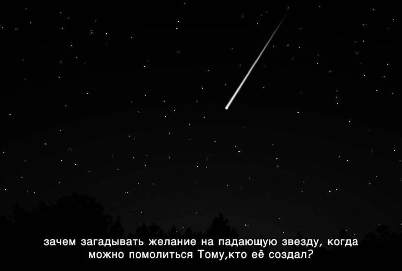 Ариша👩🏽‍🦱