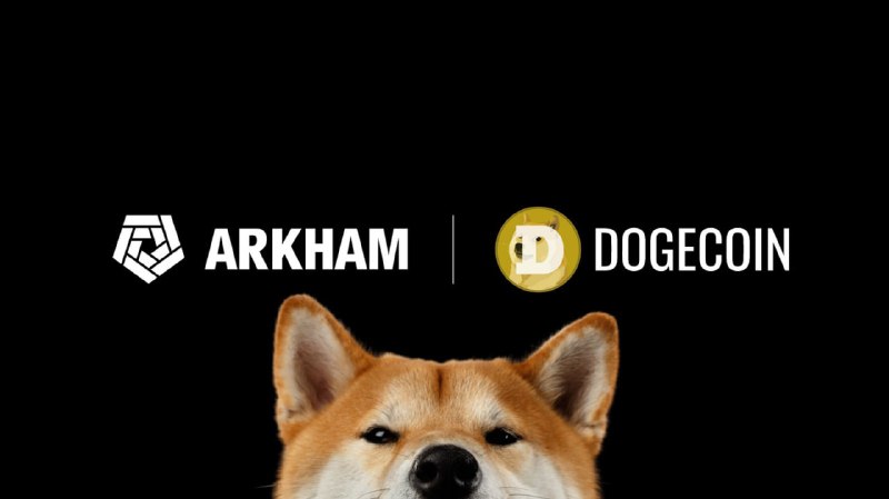 **ARKHAM x DOGECOIN**