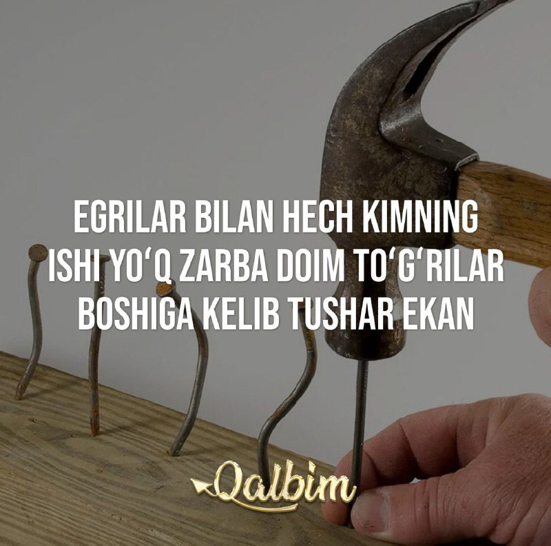 **Egrilar bilan hech kimning ishi yoʻq …