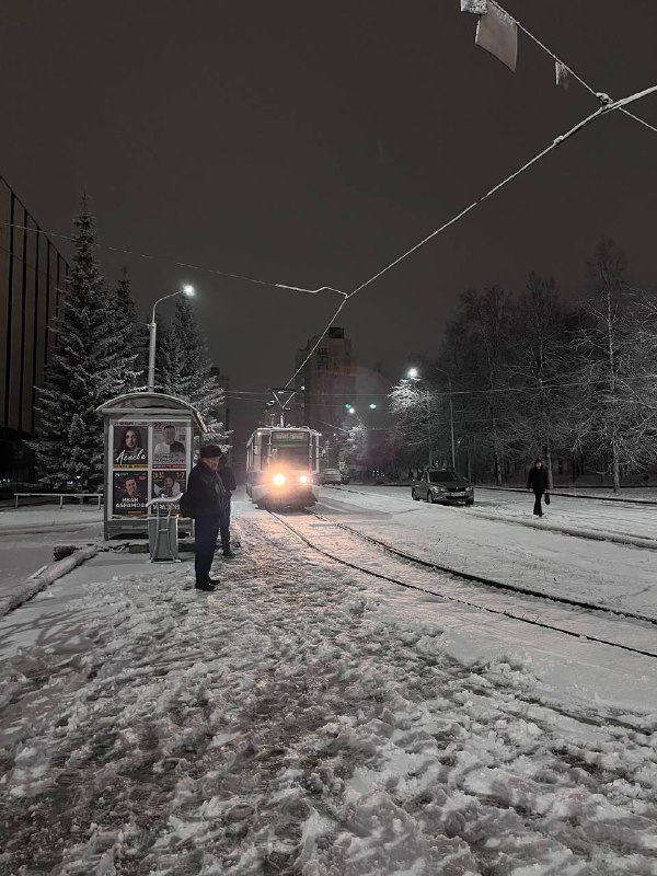 arnii.poli и английский