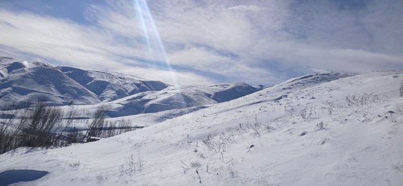 آرپاچایی بیر باخشدا