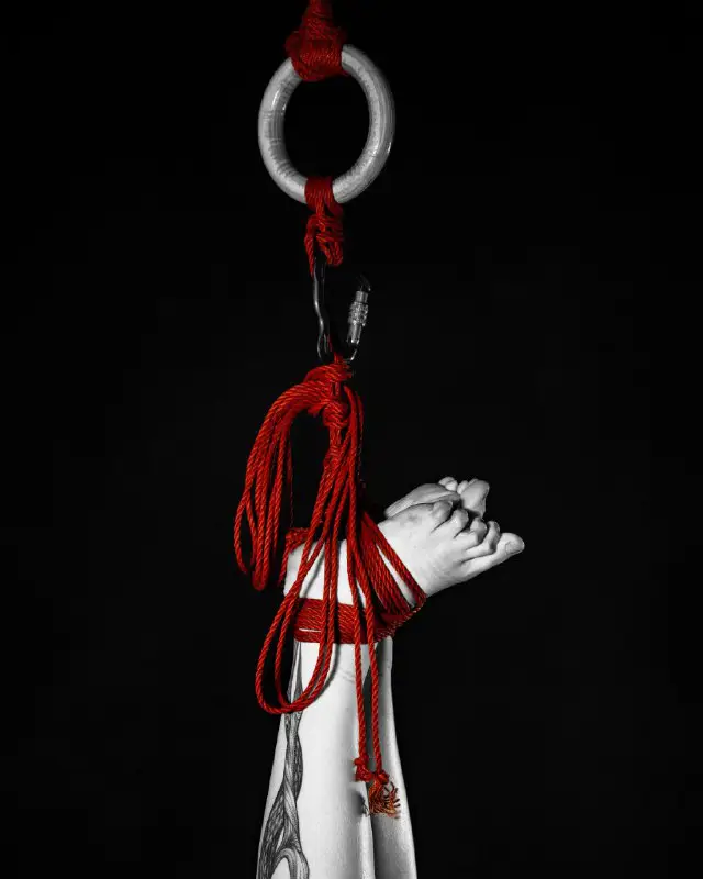 Arsen. Shibari▪️bondage▪️art