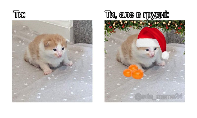 ***🍊***[Мемна Арта](https://t.me/arta_meme24) ***🍊***