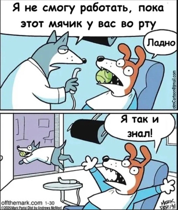 Это про Фаню))