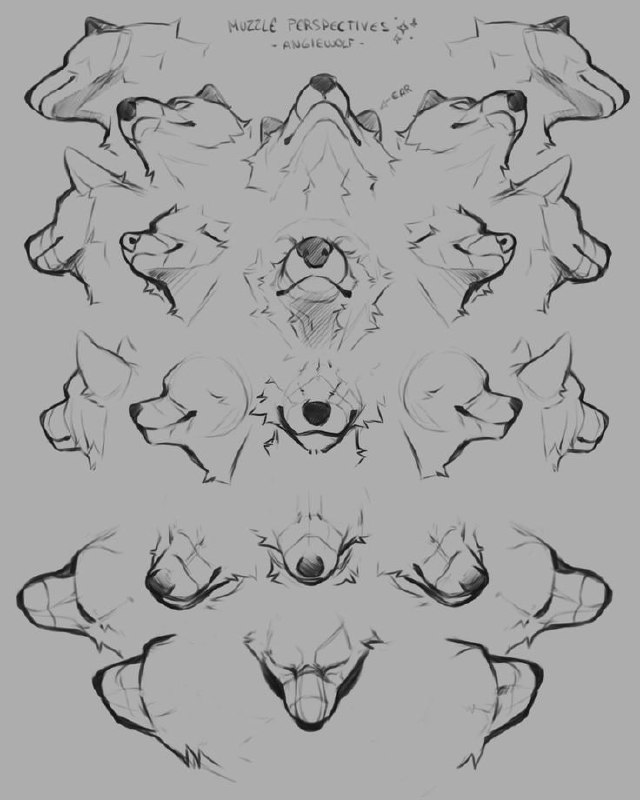 Art tutorials and studies